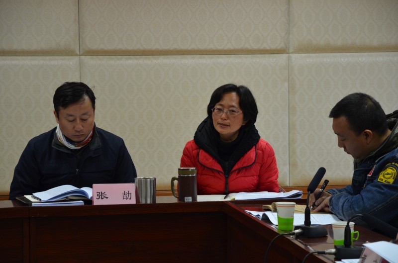 董艷玲同志提問 董艷玲同志提問